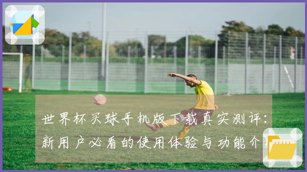 世界杯买球手机版下载真实测评：新用户必看的使用体验与功能介绍