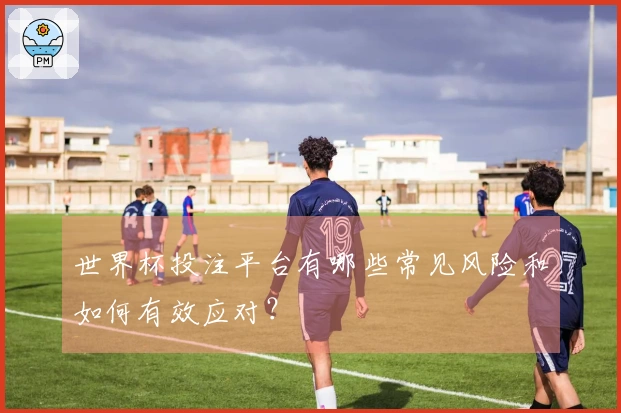 世界杯投注平台有哪些常见风险和如何有效应对？