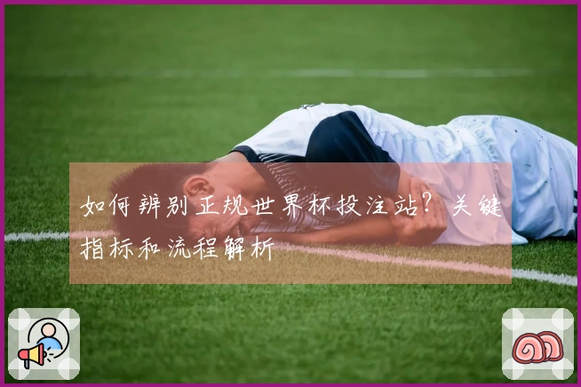 如何辨别正规世界杯投注站？关键指标和流程解析
