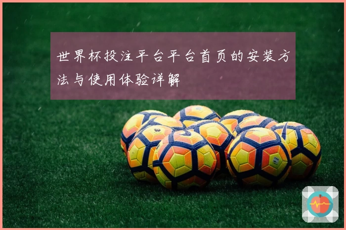 世界杯投注平台平台首页的安装方法与使用体验详解