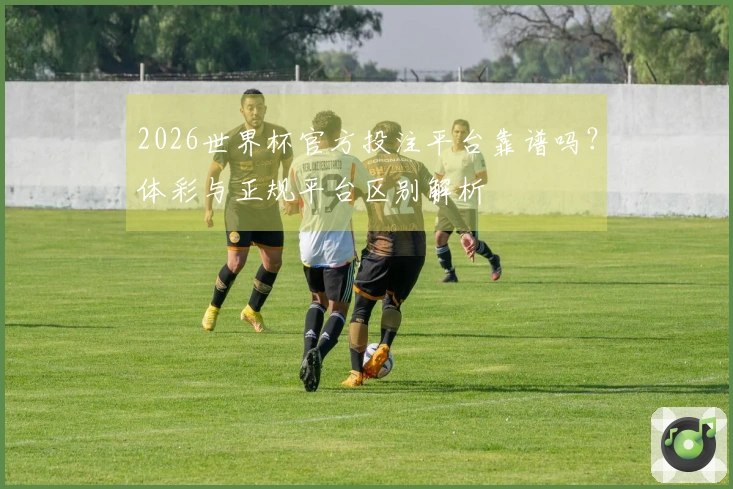 2026世界杯官方投注平台靠谱吗？体彩与正规平台区别解析