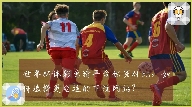 世界杯体彩竞猜平台优劣对比，如何选择更合适的下注网站？