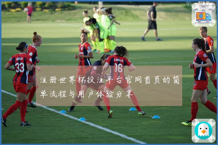 注册世界杯投注平台官网首页的简单流程与用户体验分享