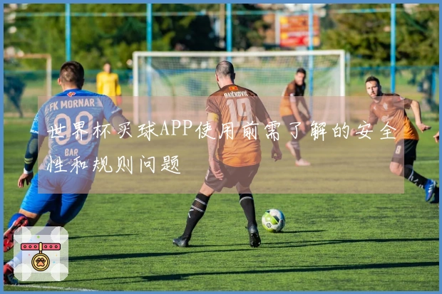 世界杯买球APP使用前需了解的安全性和规则问题