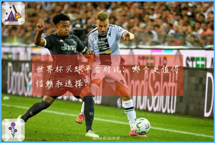世界杯买球平台对比：哪个更值得信赖和选择？
