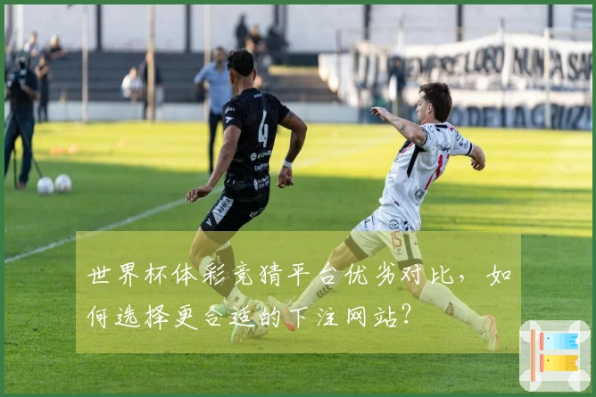 世界杯体彩竞猜平台优劣对比,如何选择更合适的下注网站?