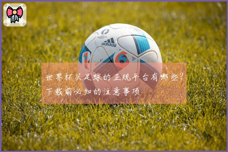 世界杯买足球的正规平台有哪些？下载前必知的注意事项