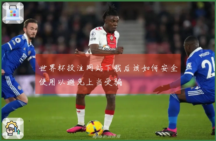 世界杯投注网站下载后该如何安全使用以避免上当受骗