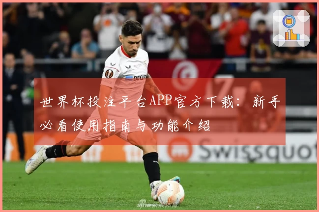 世界杯投注平台APP官方下载：新手必看使用指南与功能介绍