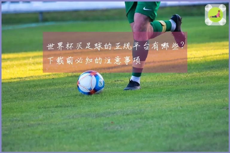 世界杯买足球的正规平台有哪些？下载前必知的注意事项