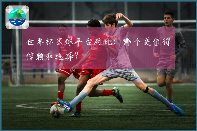 世界杯买球平台对比：哪个更值得信赖和选择？