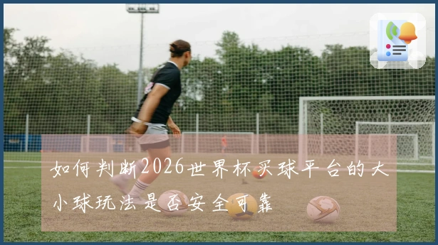 如何判断2026世界杯买球平台的大小球玩法是否安全可靠