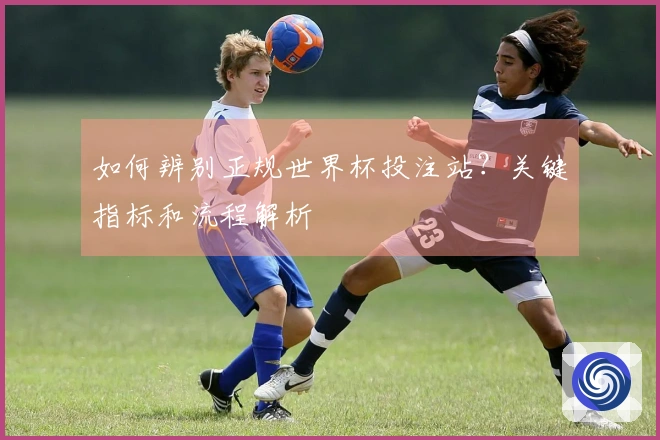 如何辨别正规世界杯投注站?关键指标和流程解析