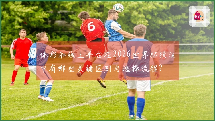 体彩和线上平台在2026世界杯投注中有哪些关键区别与选择流程？