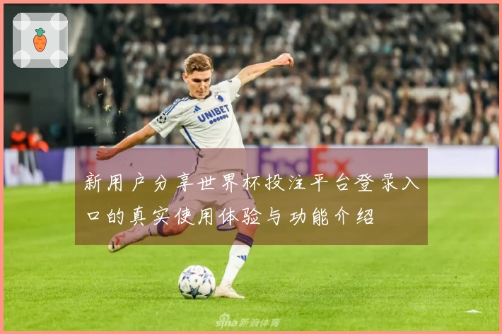 新用户分享世界杯投注平台登录入口的真实使用体验与功能介绍