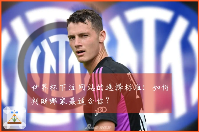 世界杯下注网站的选择标准：如何判断哪家最适合你？
