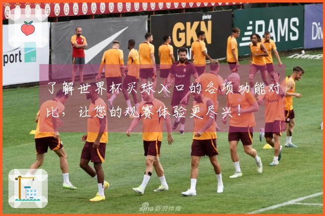 了解世界杯买球入口的各项功能对比，让您的观赛体验更尽兴！
