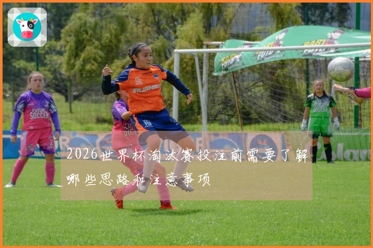 2026世界杯淘汰赛投注前需要了解哪些思路和注意事项