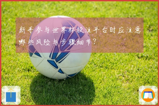 新手参与世界杯投注平台时应注意哪些风险与步骤细节？