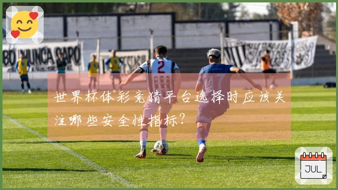 世界杯体彩竞猜平台选择时应该关注哪些安全性指标？