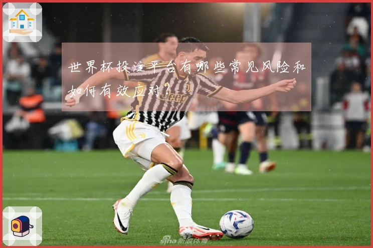 世界杯投注平台有哪些常见风险和如何有效应对？