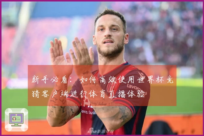 新手必看：如何高效使用世界杯竞猜客户端进行体育直播体验