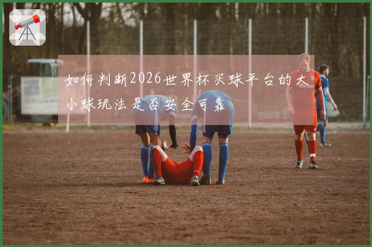 如何判断2026世界杯买球平台的大小球玩法是否安全可靠