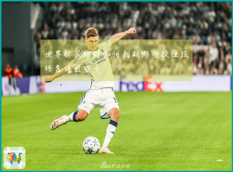 世界杯买球时如何判断哪些投注技巧靠谱且安全