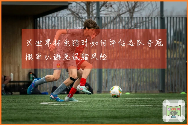 买世界杯竞猜时如何评估各队夺冠概率以避免误赌风险