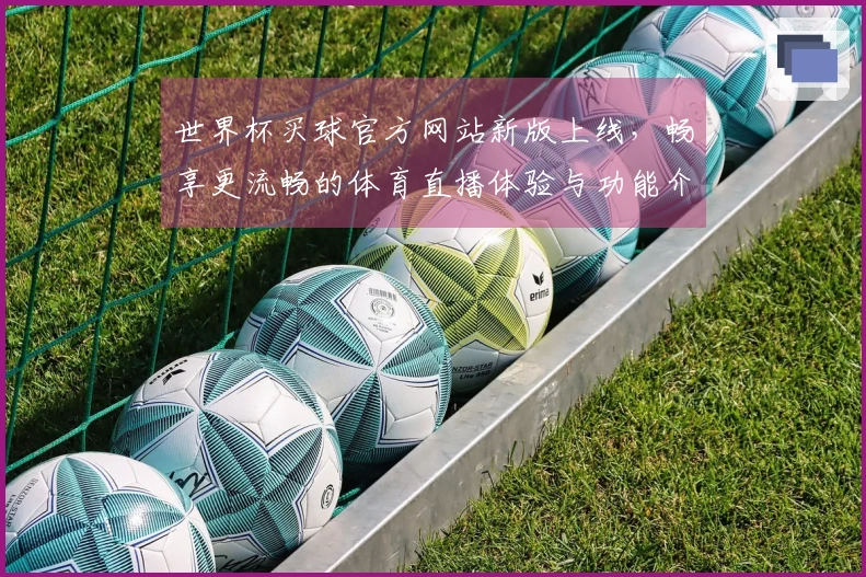 世界杯买球官方网站新版上线，畅享更流畅的体育直播体验与功能介绍